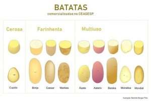 Batata | Tipos de batata - Cozinha Técnica