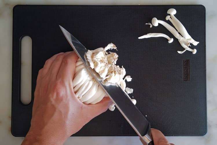 Shimeji Cozinha Técnica