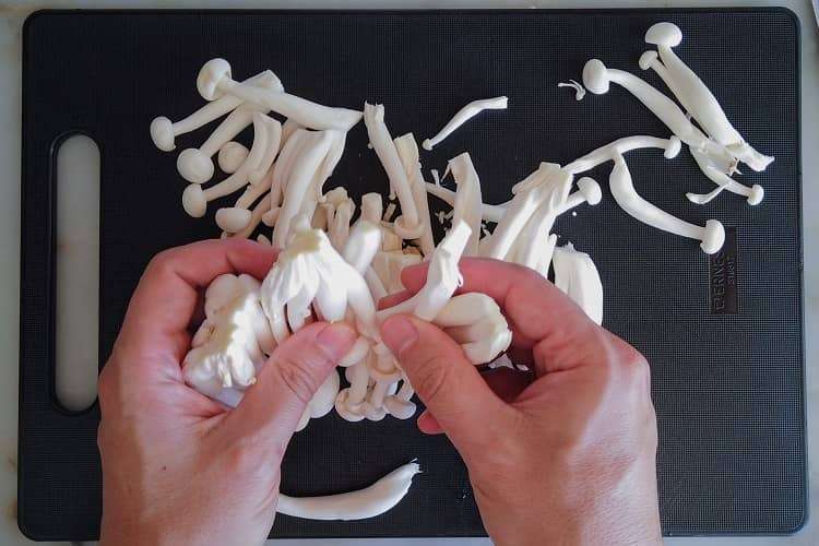 Shimeji Cozinha Técnica